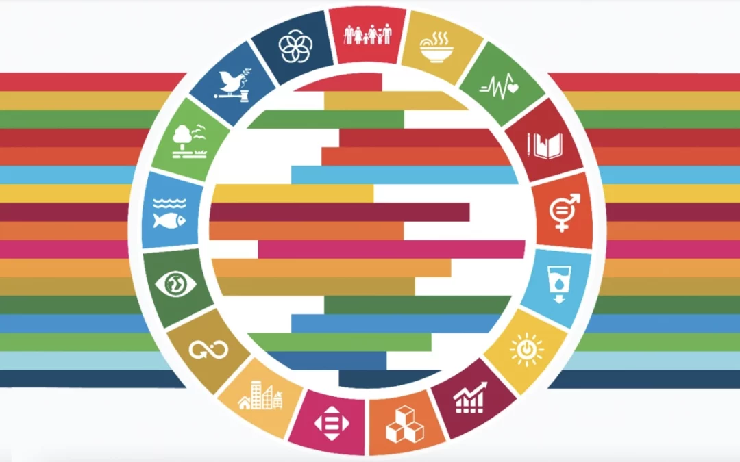 THE UNITED NATIONS JOINT SUSTAINABLE DEVELOPMENT GOAL FUND