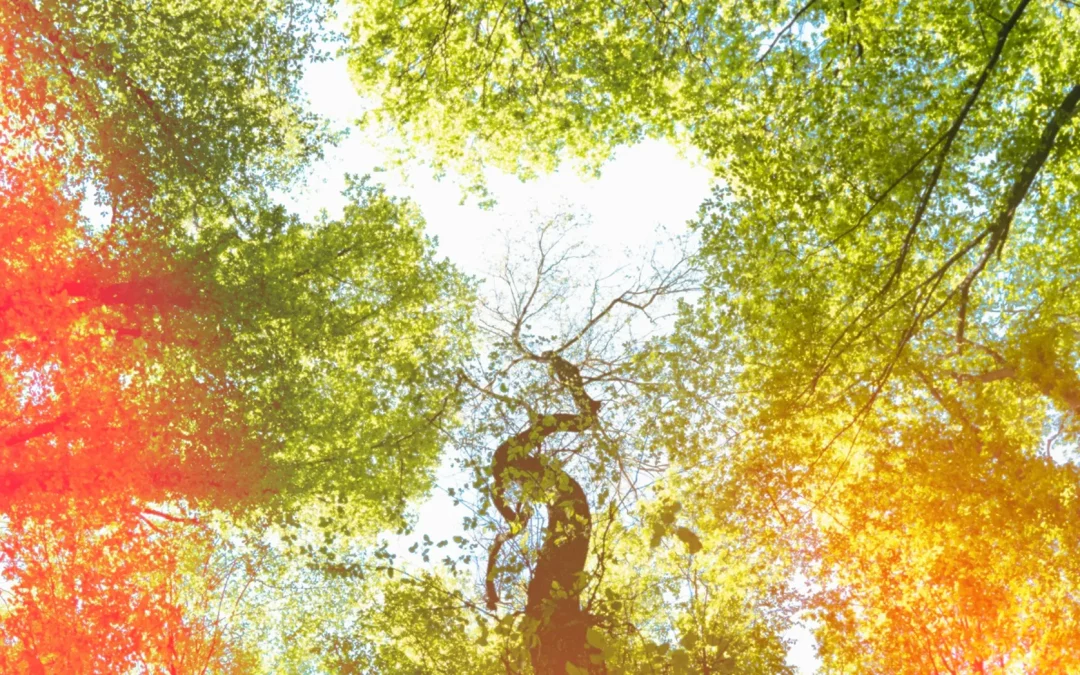 Major Update to FuturePlus platform