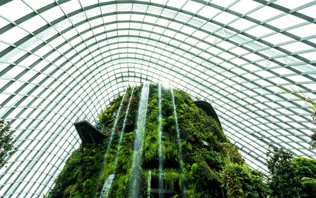 Building a Sustainable Future