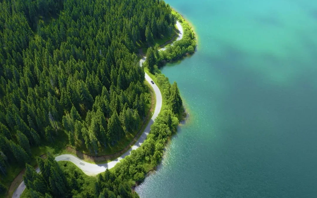 ESG vs CSR – Understanding the Difference