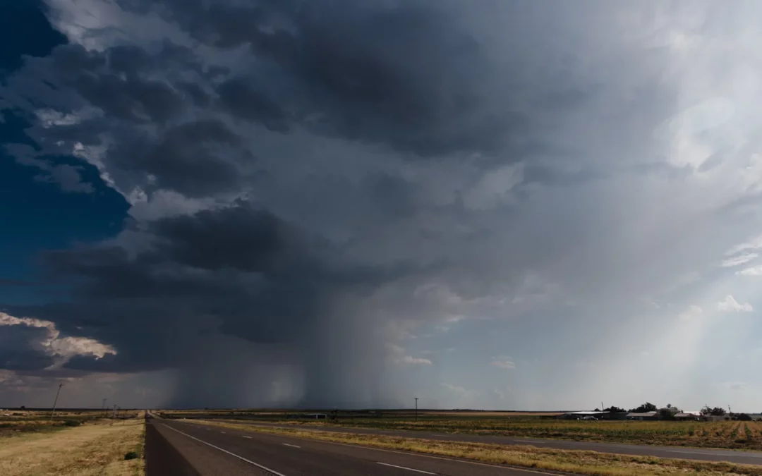 The Disclosure Dividend: Positioning for Growth in a Changing Economy