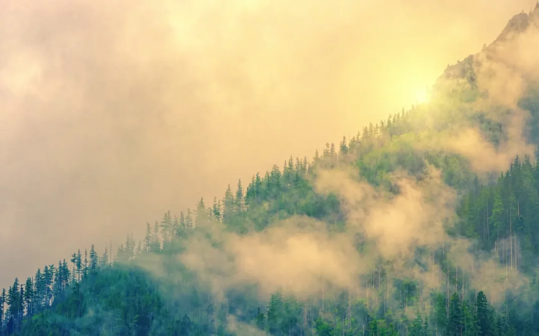 FuturePlus 2024 Impact Report